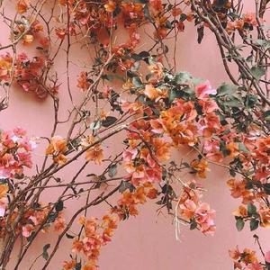 二次元美女大雷壁纸
